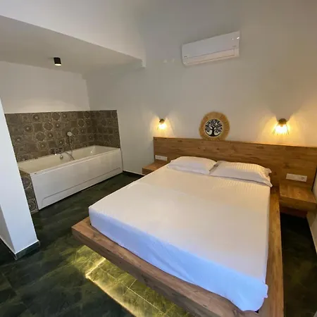 B&B Olives Tree 닷차