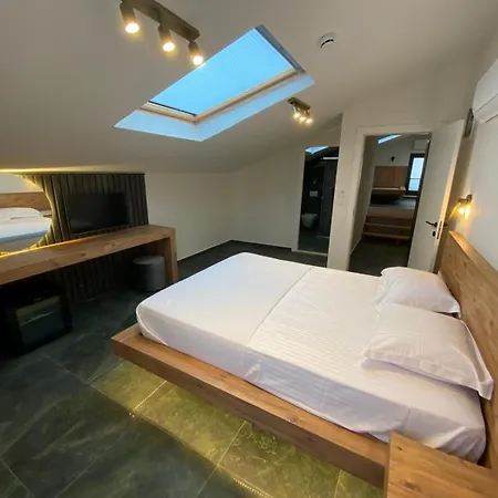 Olives Tree * 닷차