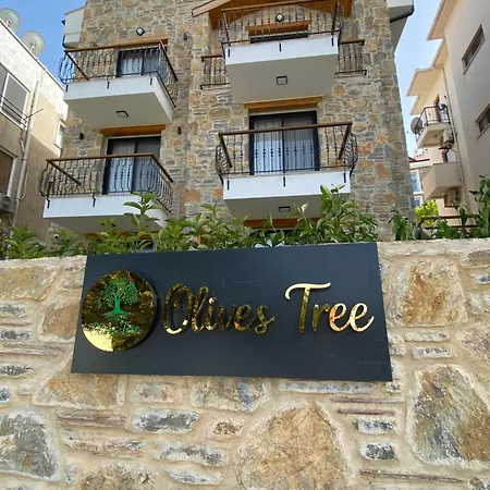 Olives Tree Datca