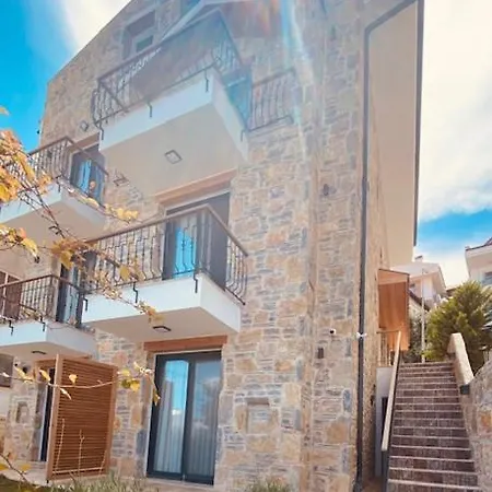 Olives Tree * 닷차