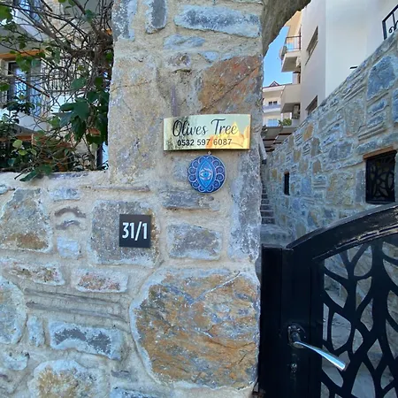 Olives Tree Oda ve Kahvaltı Datça